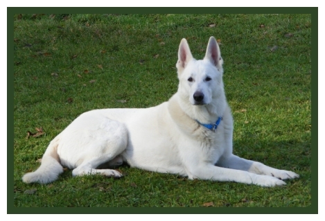 Vitamin K1 kann Leben retten!