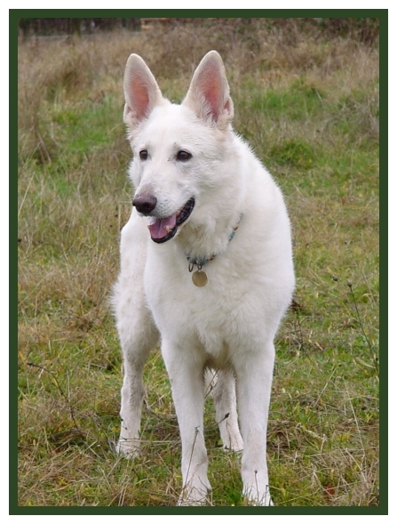 Hätte meine Delena kein Vitamin K1 bekommen, hätte sie nicht Überlebt