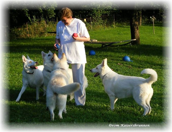 Mensch und Tier gesund mit Vitamin K1