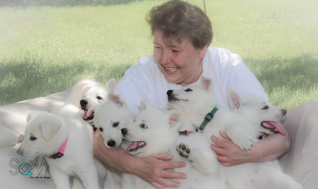 Gesunde Welpen und Züchter mit Vitamin K1