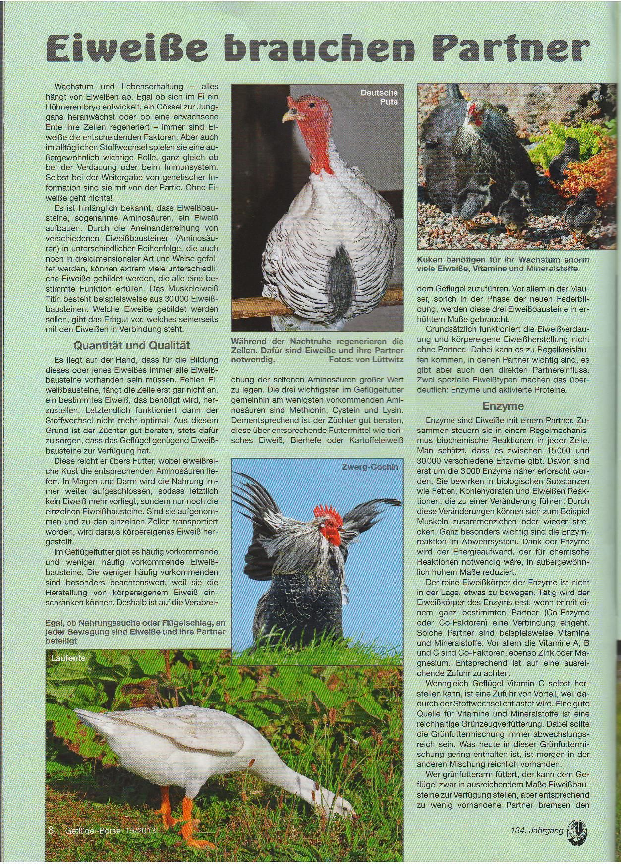 Eiweiße-Embryo-Imunsystem-Vitamin-Vitamine-K-Aminosäuren-Geflügel-Futter