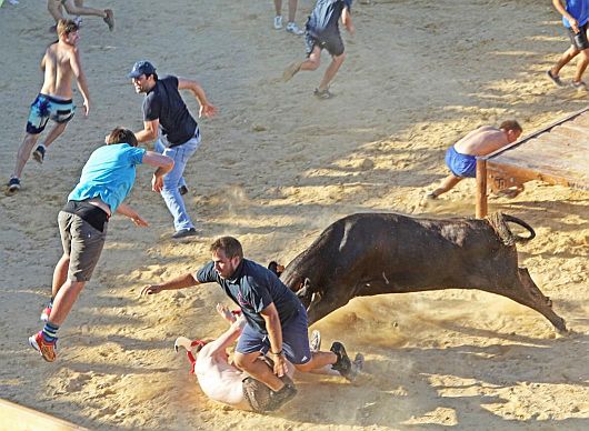 Die Gehirnfunktion braucht Vitamin K1