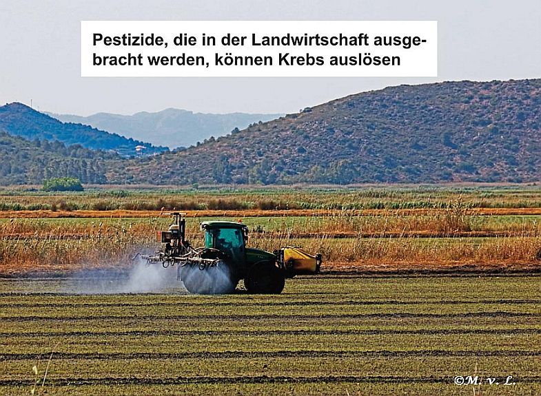Pestizide, die in der Landwirtschaft ausgebracht werden, knnen Krebs auslsen.