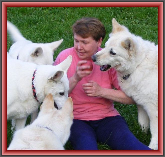 Fragen zu Vitamin K1 (Phytomenadion)